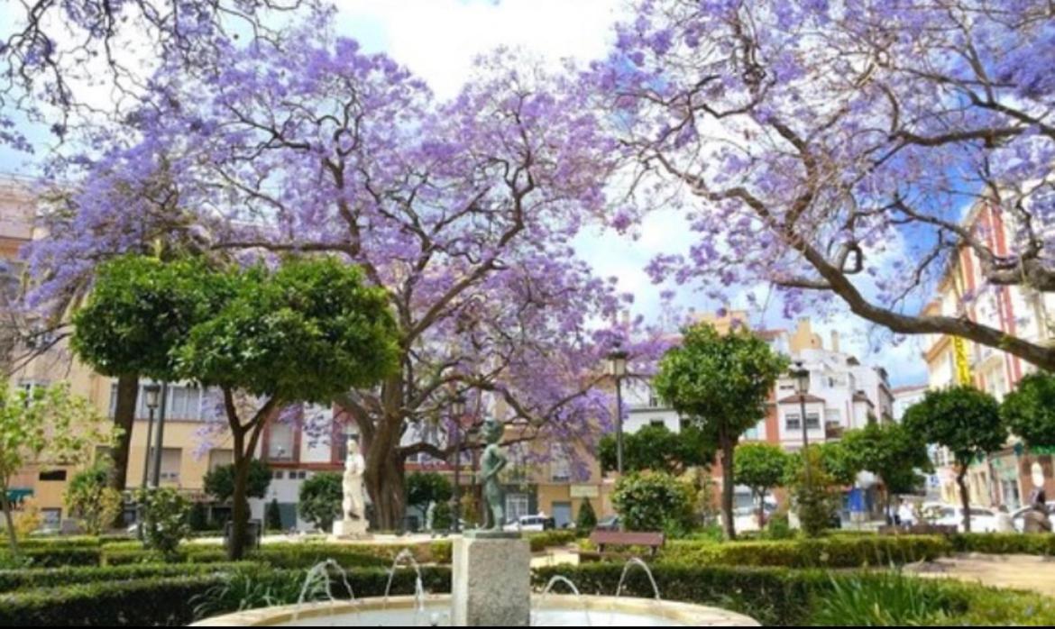 Historical Center Ollerias Apartment Malaga Bagian luar foto